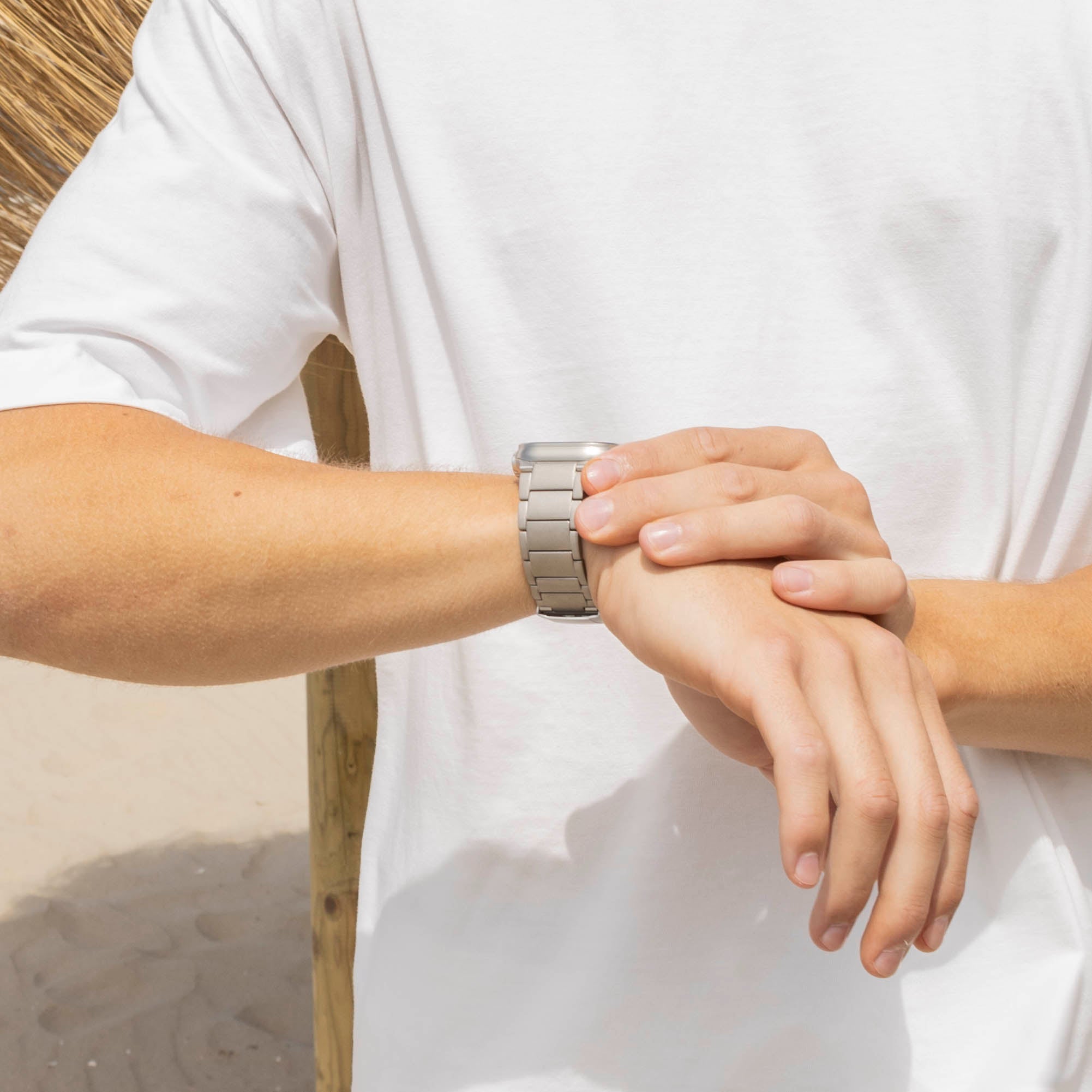 Correa de titanio Apple Watch (plata)