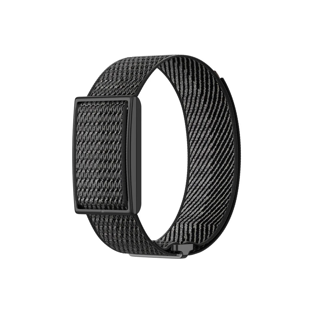 Correa nylon Polar Loop (negro/gris)