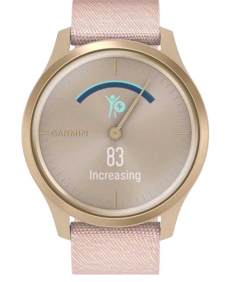 Correas Garmin Vivomove Style