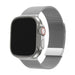 BALR. Correa milanesa Apple Watch (plateada)