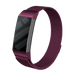 Fitbit Charge 4 Milanese Strap (Purple)