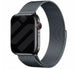 Correa milanese Apple Watch (gris espacial)