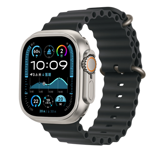 Bandz Apple Watch Ultra - 49mm Metal Case (Titanium)