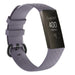 Correa de siliconaFitbit Charge 4 (gris azulado)
