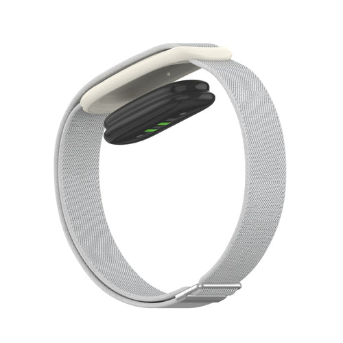 Correa elástica Fitbit Air (concha de mar)