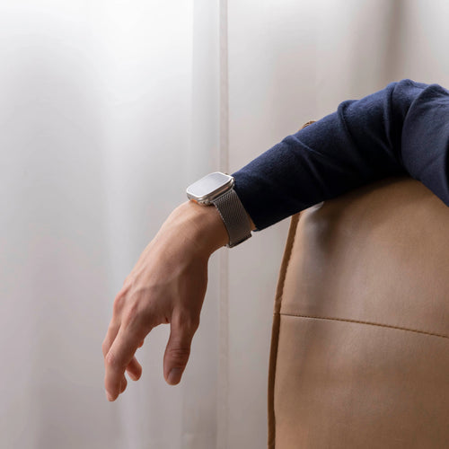 Correa Milanesa de titanio Apple Watch (plata)