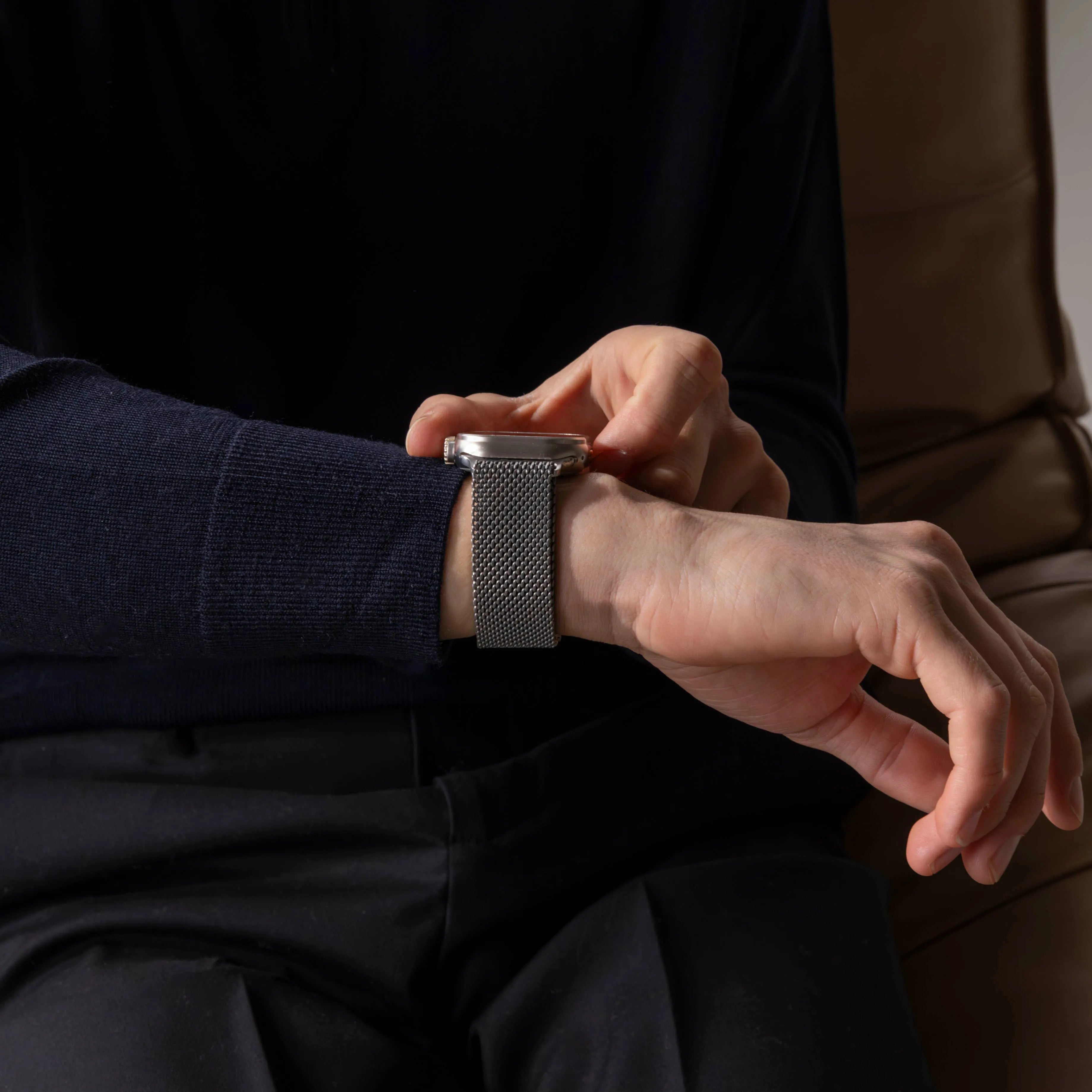 Correa Milanesa de titanio Apple Watch (plata)
