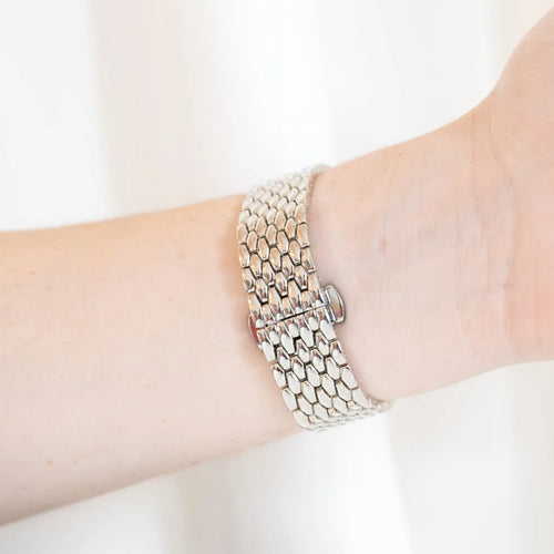 dragon zilver (3)