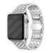 Correa acero dragón Apple Watch (plata)