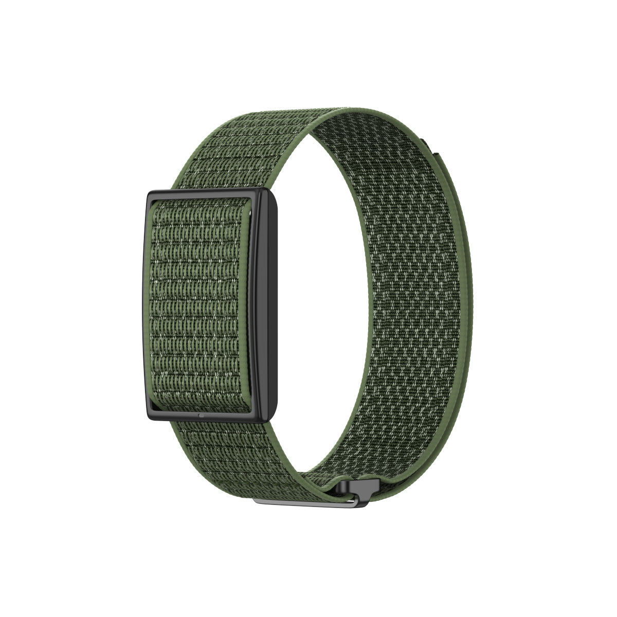 Correa nylon Polar Loop (verde)