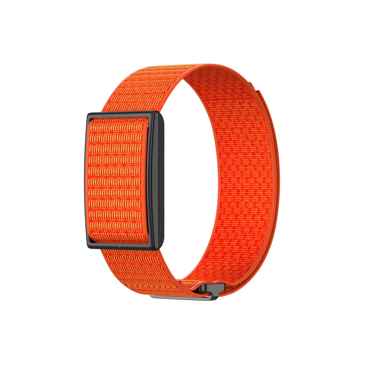 Correa nylon Polar Loop (naranja)
